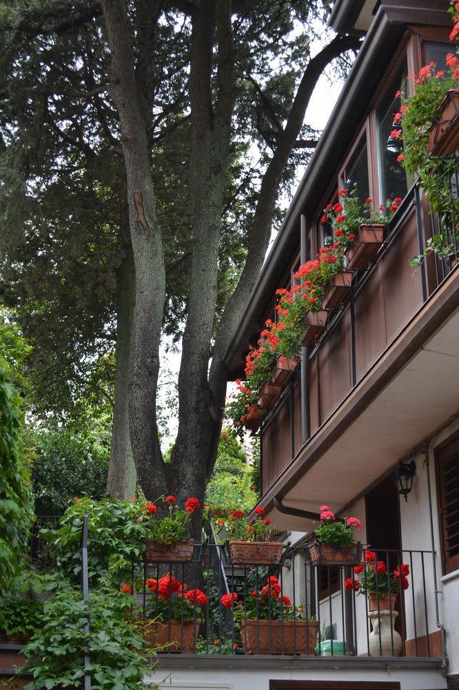 Villa Rosa Etna Apartments Zafferana Etnea Esterno foto